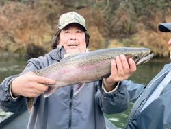 Rainbow trout caught in Grants Pass