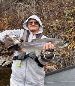 Rainbow trout catch from fishing trip in Grants Pass Oregon