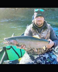 Rainbow Trout caught in OR