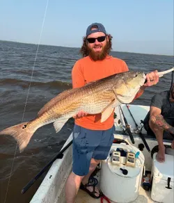 Fish-Species