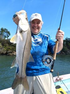 Inshore thrills & Tobago views.