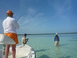 Catching memories in paradise. 