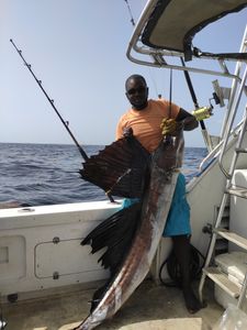 Fish-Species