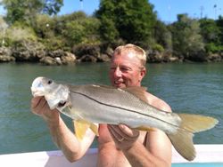 Snook fish caught at Pigeon Point Beach