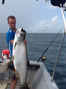 Tarpon fish caught at Pigeon Point Beach