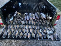 Kentucky Crappie jig