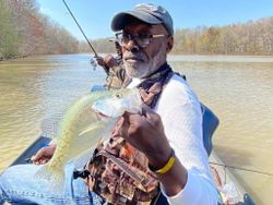 Kentucky lake fish