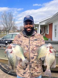 Barkley dam fishing
