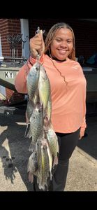 Barkley lake crappie report