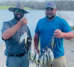 Crappie fishing guides Kentucky lake