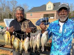 6 crappie fish caught in Hopkinsville