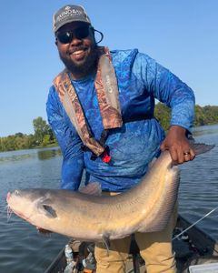 1 angler fishing on the waters of KY