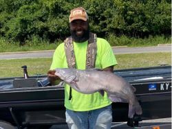 One big blue catfish caught in Hopkinsville