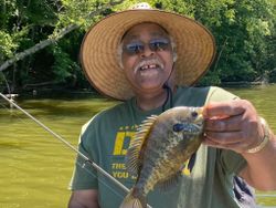Bluegill fish caught while fishing in KY
