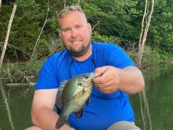 Bluegill fish caught fishing in KY