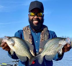 Two crappie fish caught in Kentucky