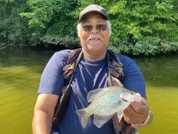 A fisherman holding a crappie fish caught in KY