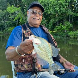 Crappie fish caught in Kentucky