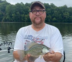 Crappie fish caught while fishing in KY