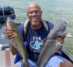 Two Gafftopsail sea catfish and Channel Catfish caught in Hopkinsville