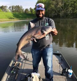 Fishing for a huge white catfish in Hopkinsville