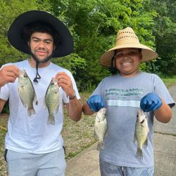 4 coho salmon and crappie fish caught by two people in Hopkinsville