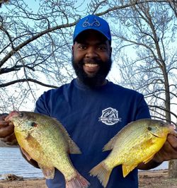 2 redear sunfish, 11-inch catch in Hopkinsville