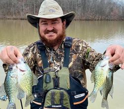 Angler holds three white crappie fish in Hopkinsville.