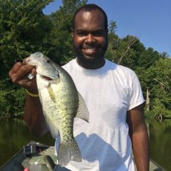 White crappie fish caught in Hopkinsville