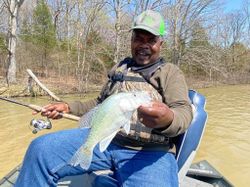 White crappie fish caught in KY
