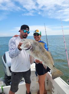 Photograph of a large black drum fish caught while fishing in Texas City