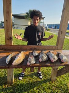 6 black drum fish caught while fishing in TX