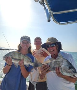 Two black drum fish caught in Texas City