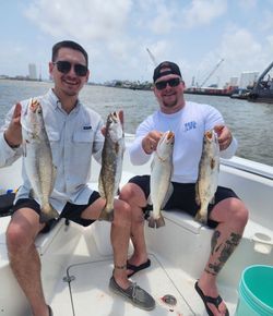 4 spotted weakfish caught while fishing in TX
