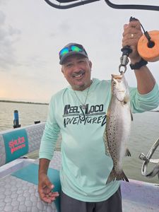 Spotted Weakfish caught in TX