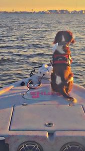 Fishing in Texas City