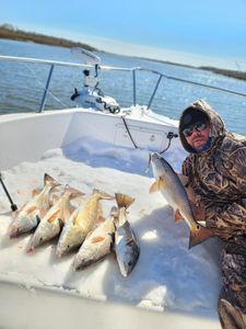Four redfish and black drum caught in Texas City