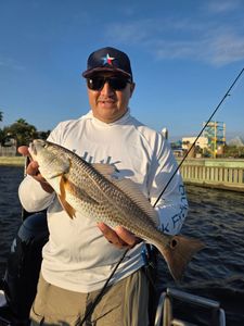 Redfish caught while fishing in TX