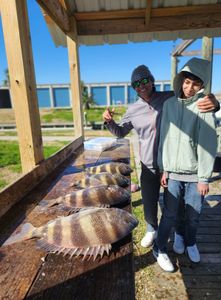 Two sheepshead fish caught in Texas City