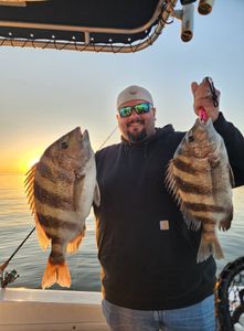 Two sheepshead fish caught in TX