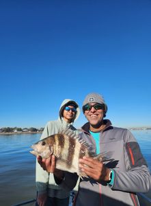 Sheepshead fish caught while fishing in TX