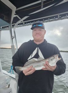Spotted Weakfish caught in Texas City