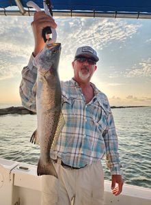 Spotted Weakfish, 27-inch fishing catch in Texas City