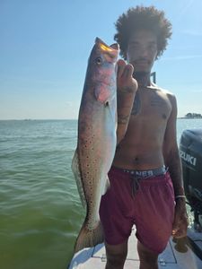 Spotted Weakfish caught fishing in Texas City
