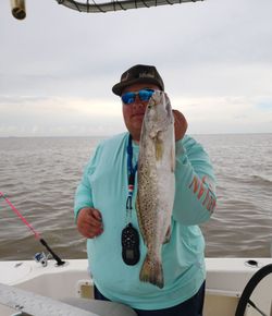 Spotted weakfish caught fishing in TX