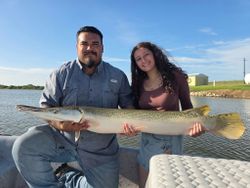 Alligator gar fishing catch in Texas City TX with two anglers holding large fish