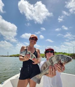 Two black drum fishing in TX