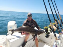 Hook of the day!
