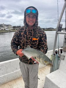 Trophy catch! 
