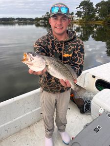 Hooked up! Big Trout bending the rod